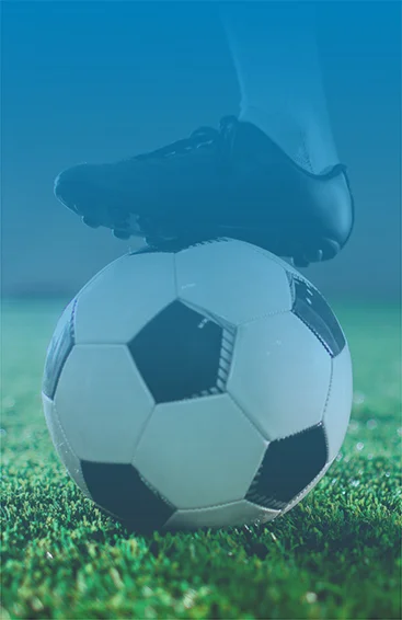 Premier League project for the Largest Media Company in South Africa